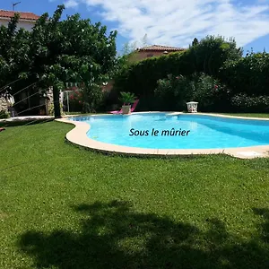 Bed & Breakfast Sous Le Murier